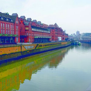 P16372 Bild oben.jpg